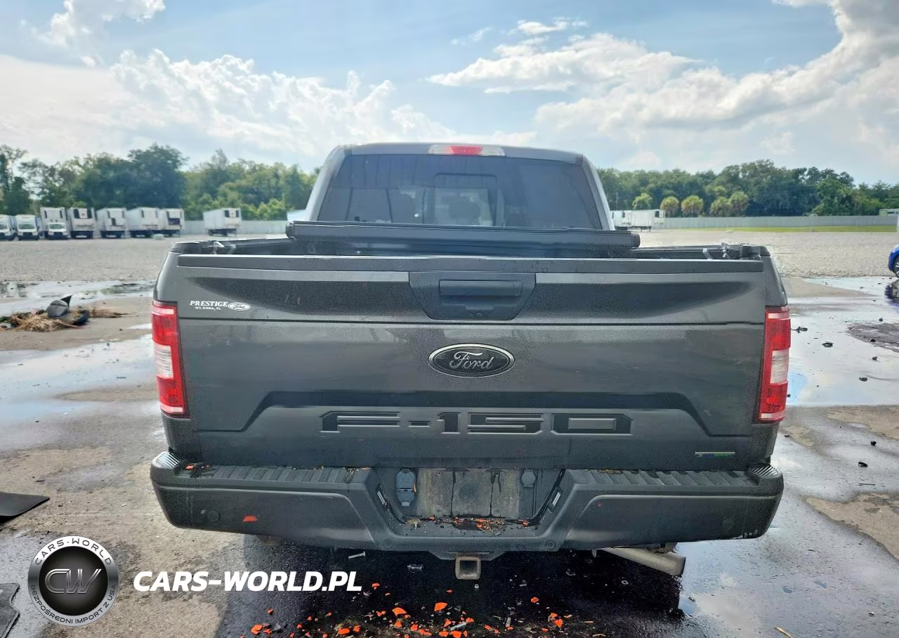 2020 Ford F150 Supercrew VIN:1FTEW1CP8LFC29966 - 6