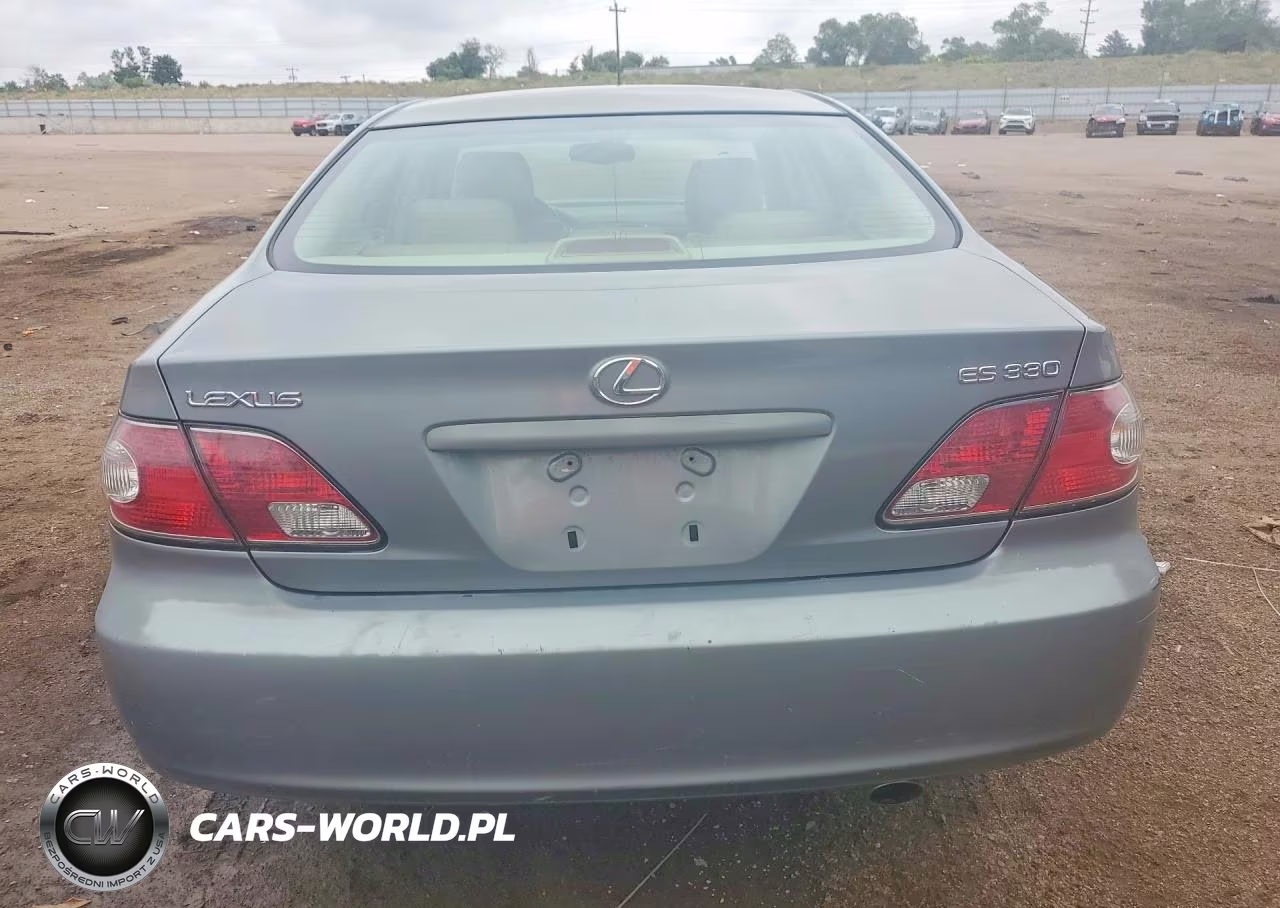 2004 Lexus Es 330 VIN:JTHBA30G245030354 - 6