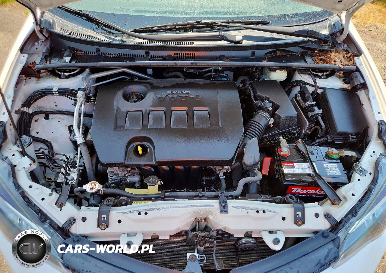 2019 Toyota Corolla Le VIN:2T1BURHE4KC146556 - 11