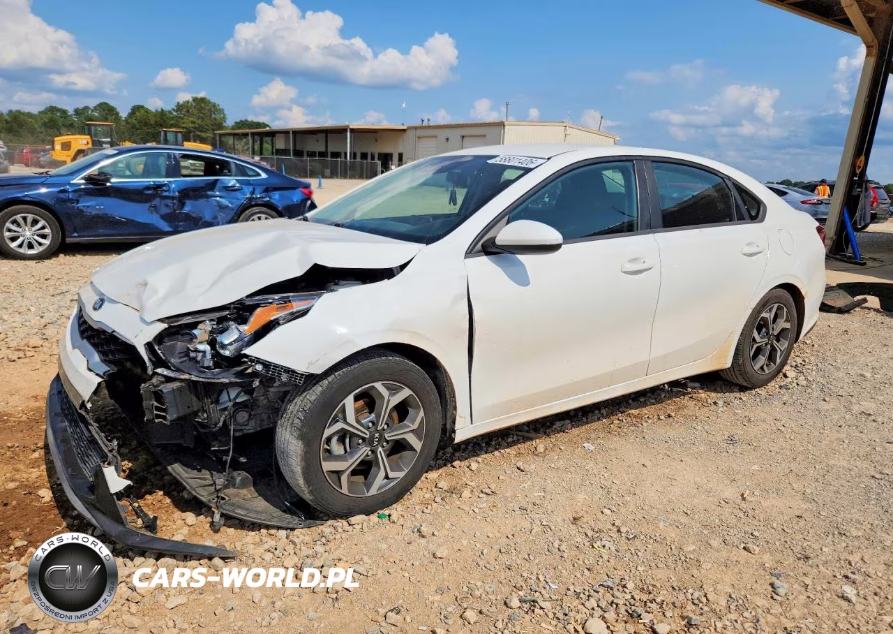 2019 Kia Forte Lxs