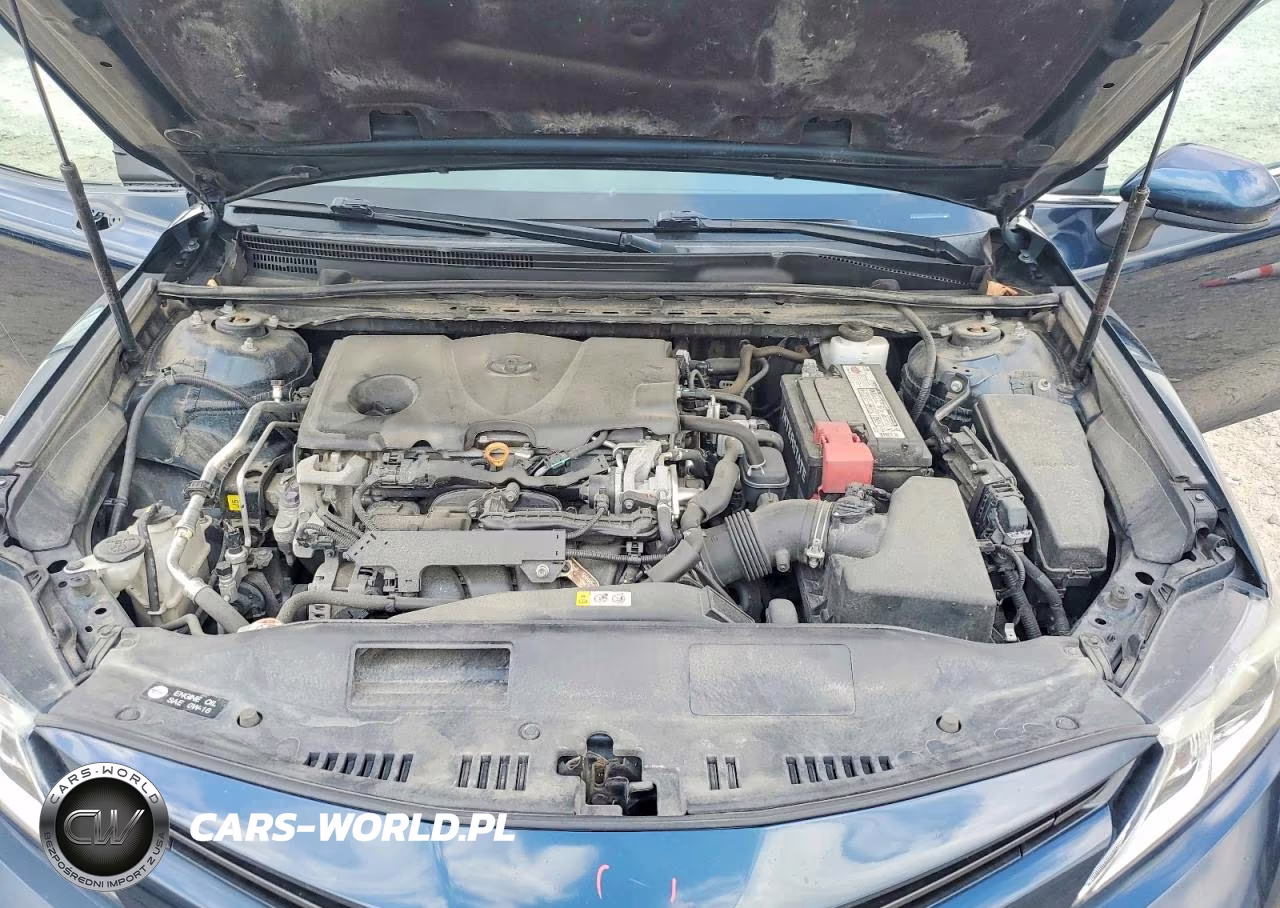 2019 Toyota Camry Le VIN:4T1B11HK3KU255007 - 11