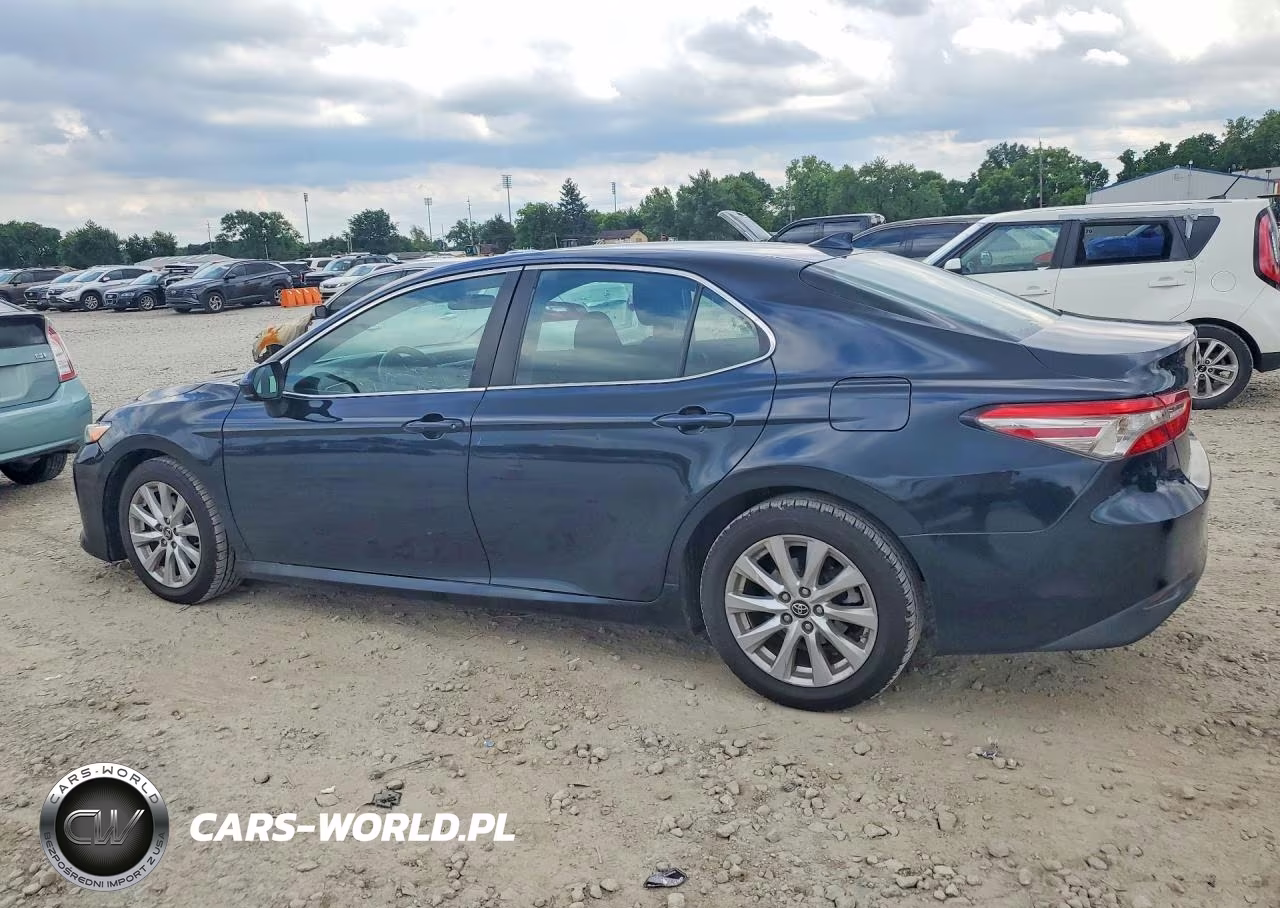 2019 Toyota Camry Le VIN:4T1B11HK3KU255007 - 2