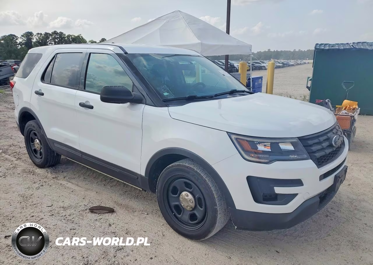 2019 Ford Explorer Police Interceptor VIN:1FM5K8AR2KGB55425 - 4