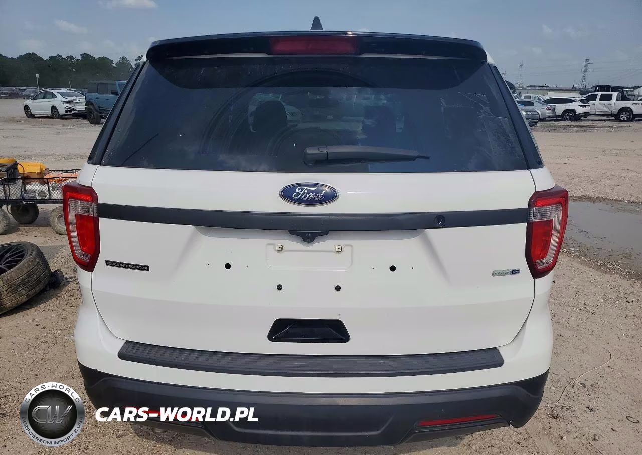 2019 Ford Explorer Police Interceptor VIN:1FM5K8AR2KGB55425 - 6