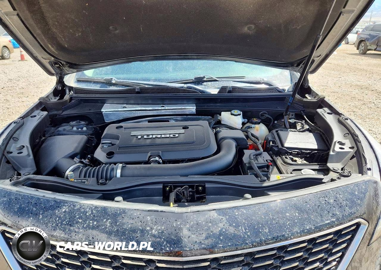 2019 Cadillac Xt4 Premium Luxury VIN:1GYFZCR40KF229683 - 11