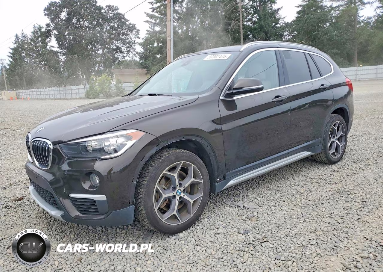 2018 BMW X1 Sdrive28I – zdjęcie 1 z 13