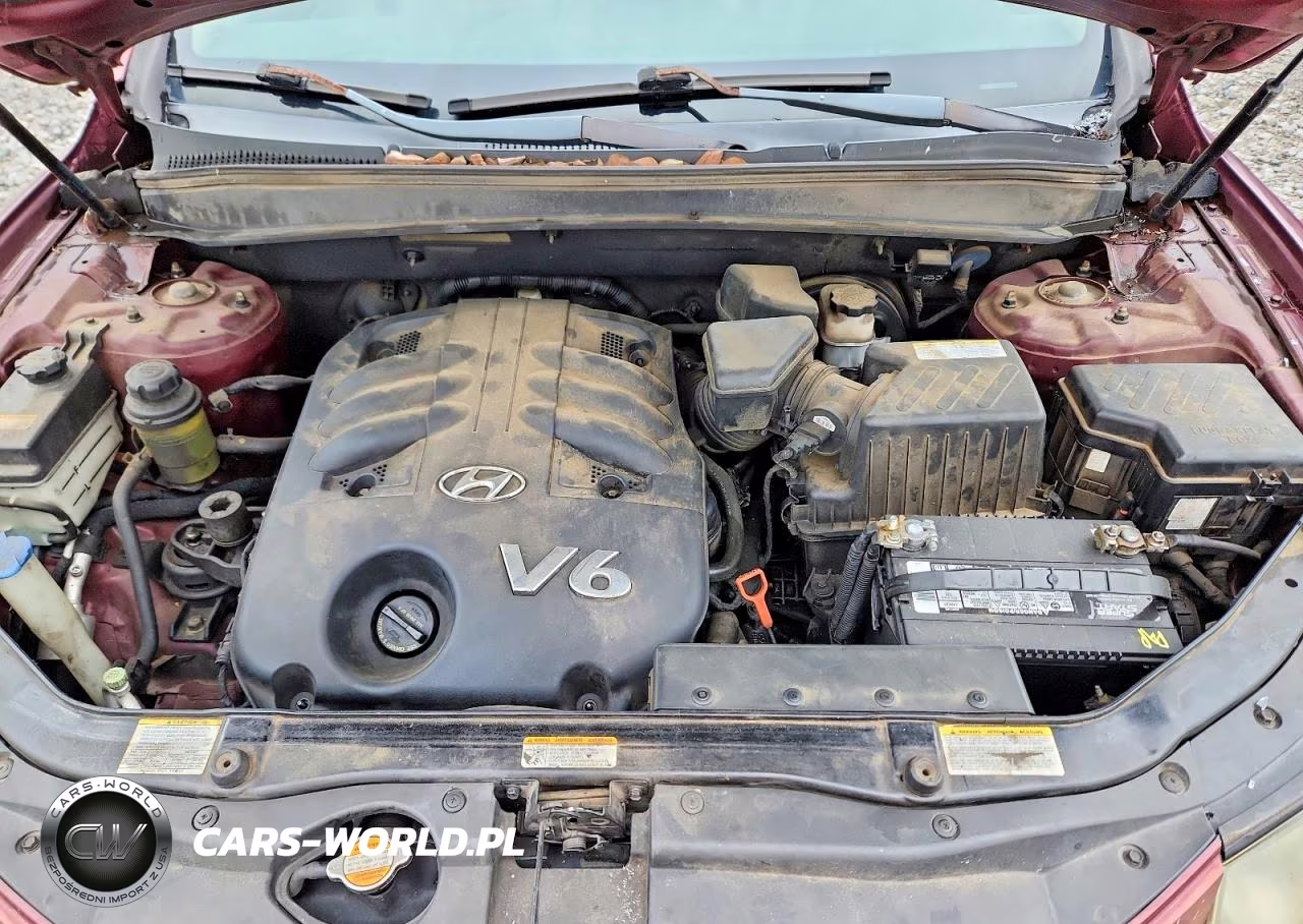 2007 Hyundai Santa Fe Se VIN:5NMSH13E47H121882 - 11