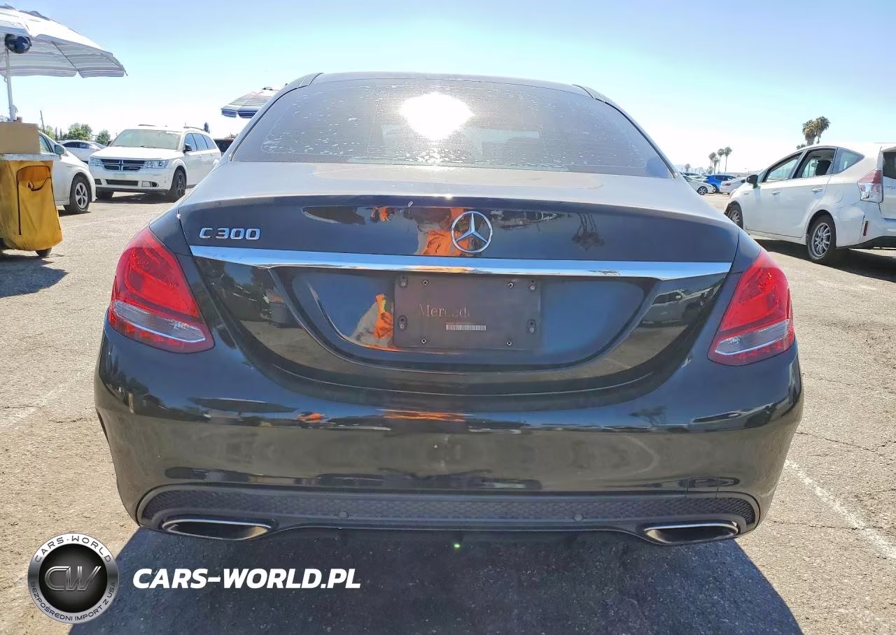 2016 Mercedes-Benz C 300 VIN:55SWF4JB2GU173271 - 6