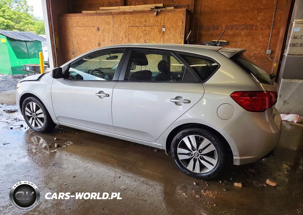 2013 Kia Forte Ex VIN:KNAFU5A28D5693305 - 2