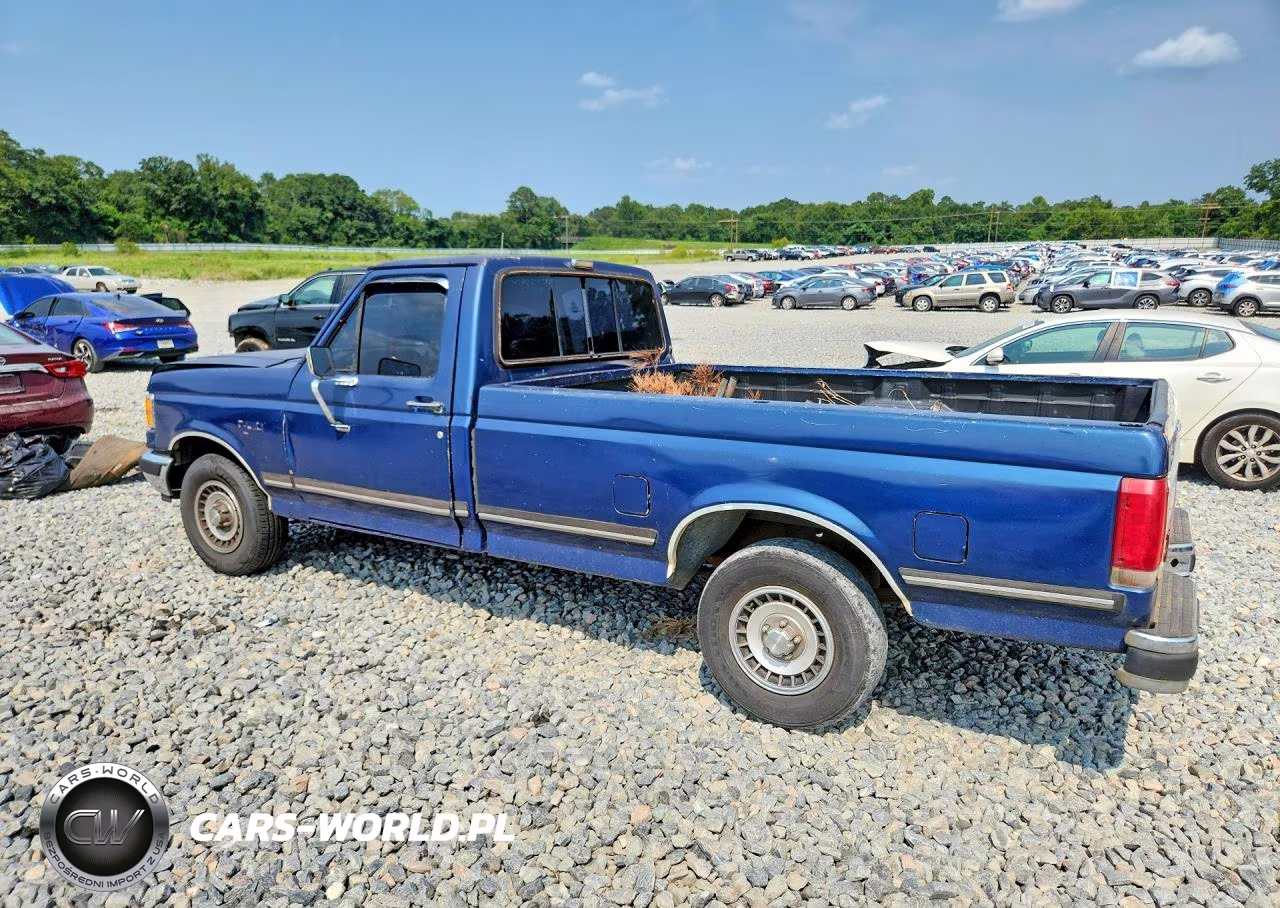 1988 Ford F150 VIN:1FTDF15N6JNB54890 - 2