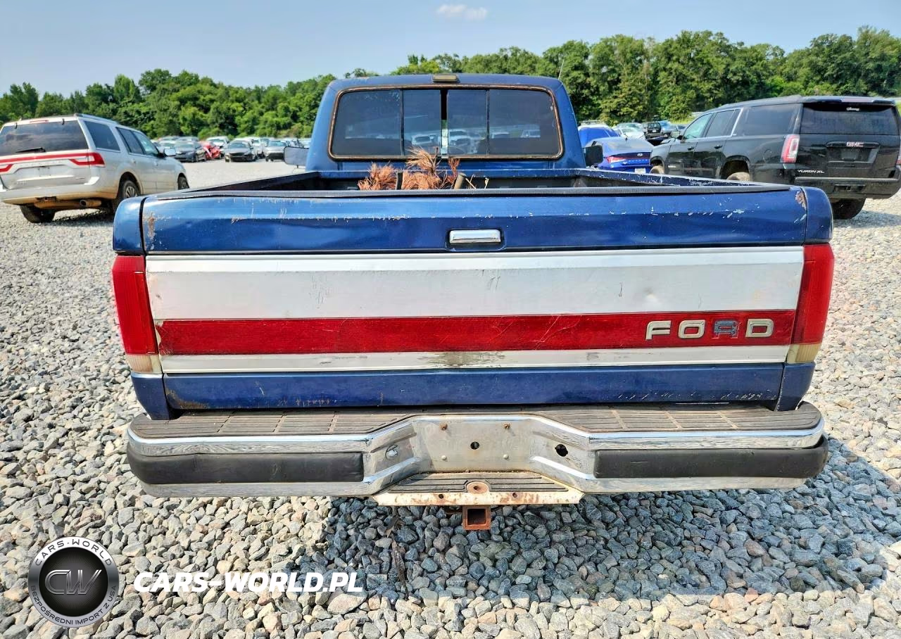 1988 Ford F150 VIN:1FTDF15N6JNB54890 - 6