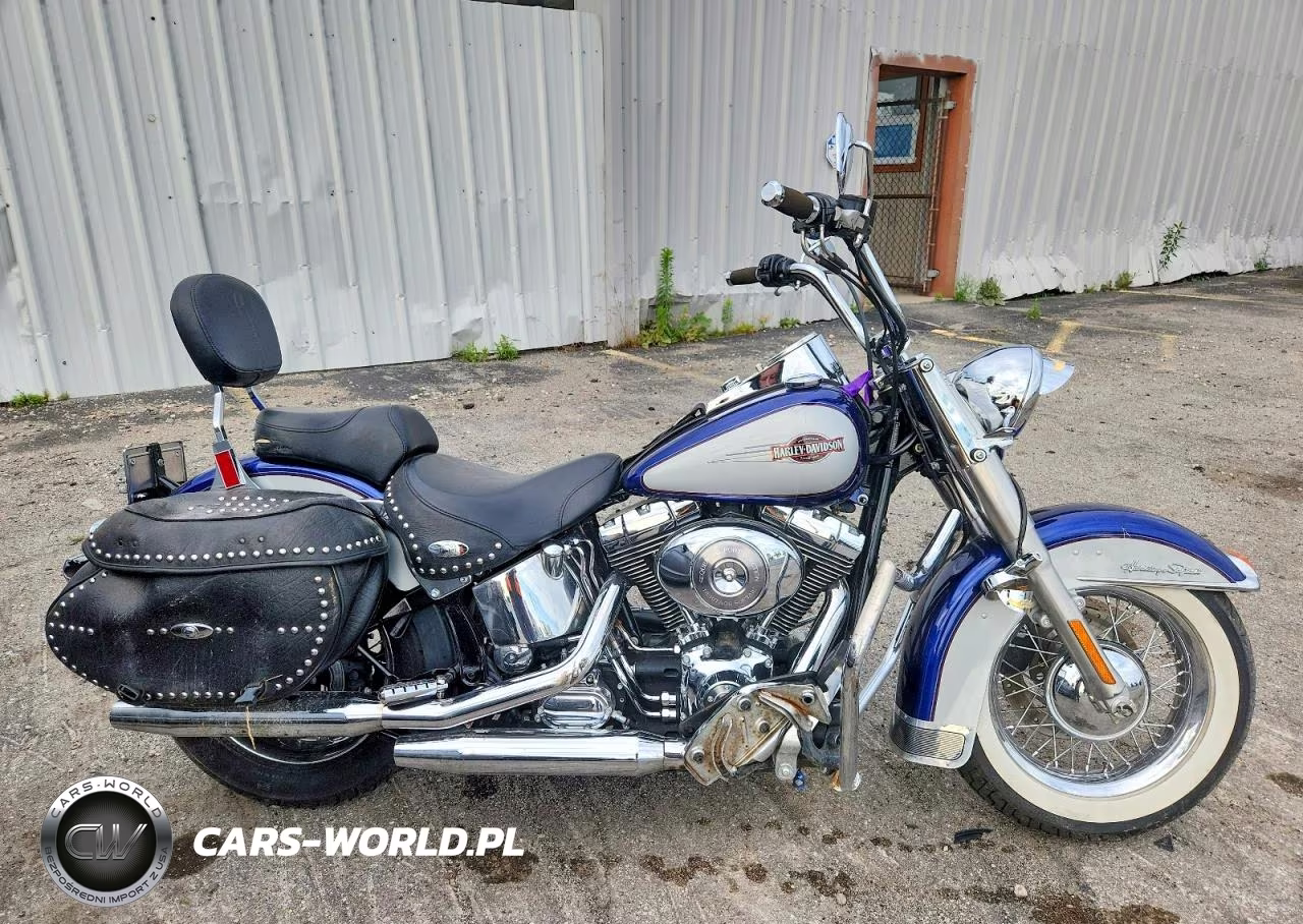 2006 Harley-Davidson Flstci