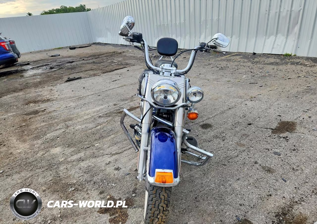 2006 Harley-Davidson Flstci VIN:1HD1BWB116Y013453 - 2