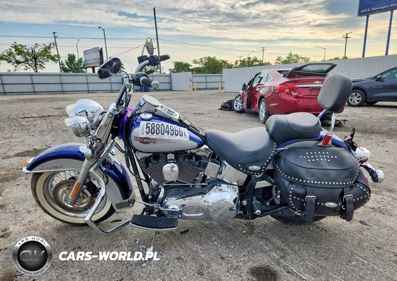 2006 Harley-Davidson Flstci VIN:1HD1BWB116Y013453 - 3