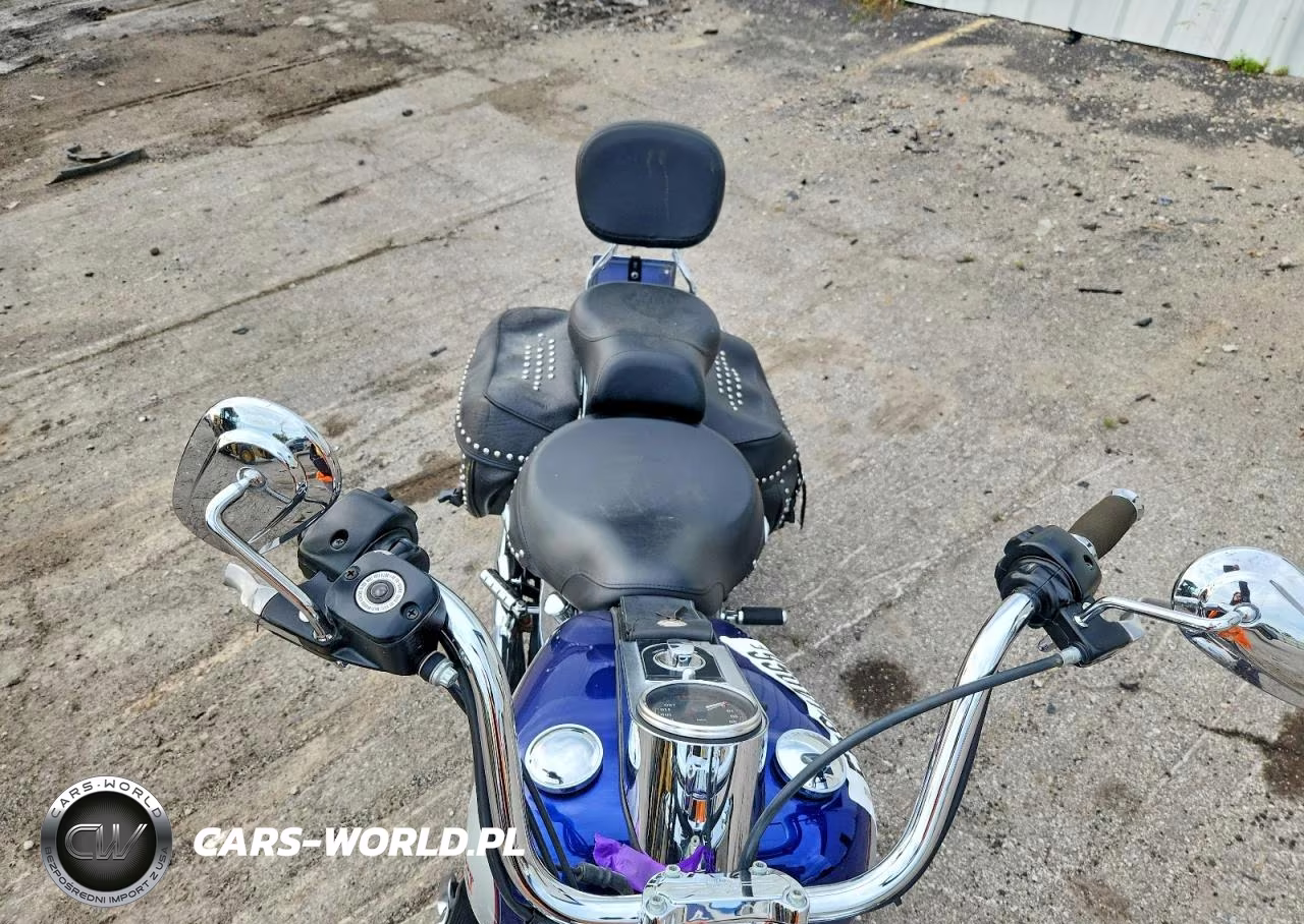 2006 Harley-Davidson Flstci VIN:1HD1BWB116Y013453 - 5