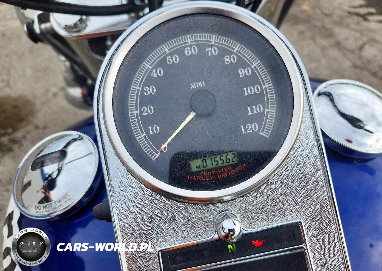 2006 Harley-Davidson Flstci VIN:1HD1BWB116Y013453 - 7