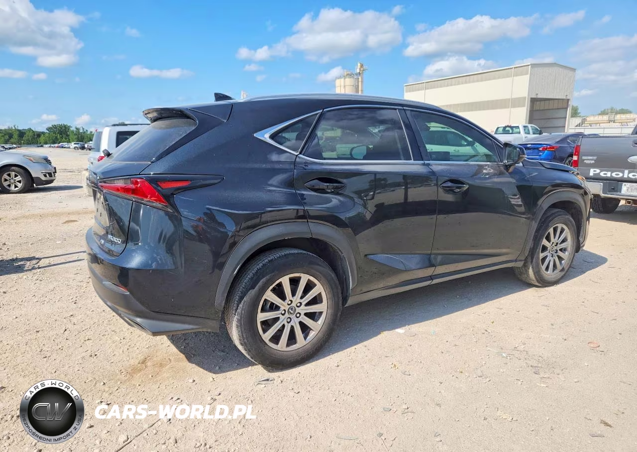 2020 Lexus Nx 300 Base VIN:JTJAARBZ8L5016744 - 3