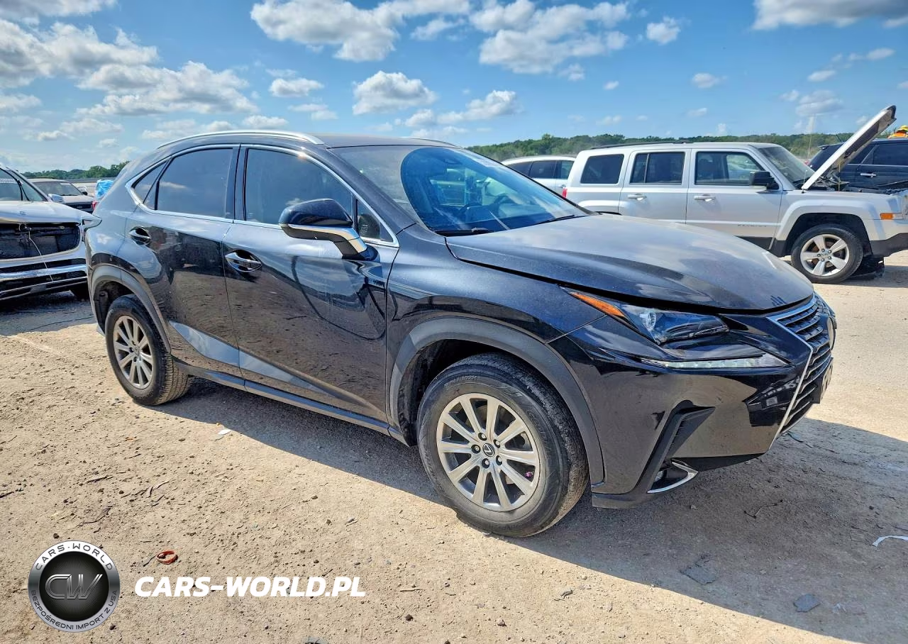 2020 Lexus Nx 300 Base VIN:JTJAARBZ8L5016744 - 4