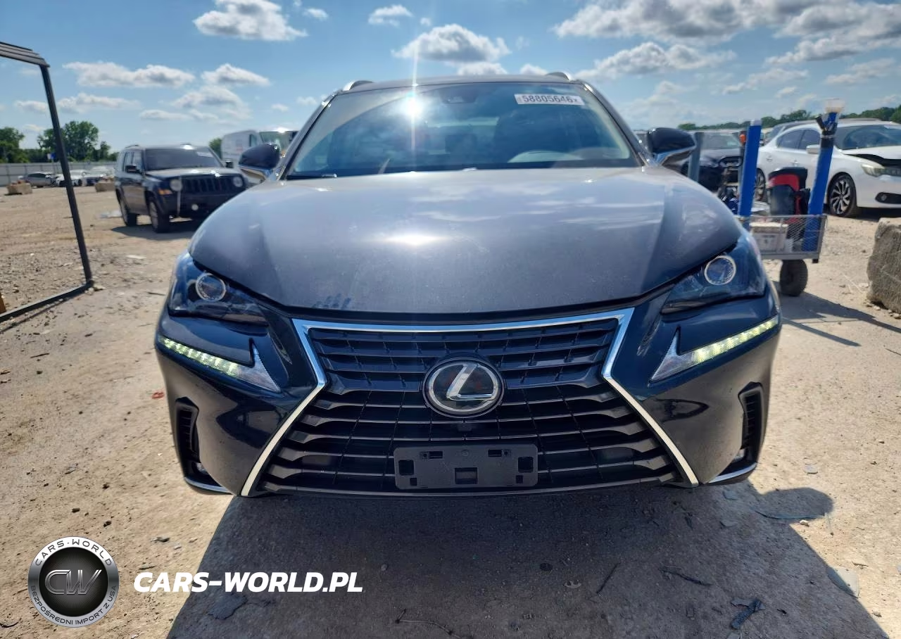 2020 Lexus Nx 300 Base VIN:JTJAARBZ8L5016744 - 5