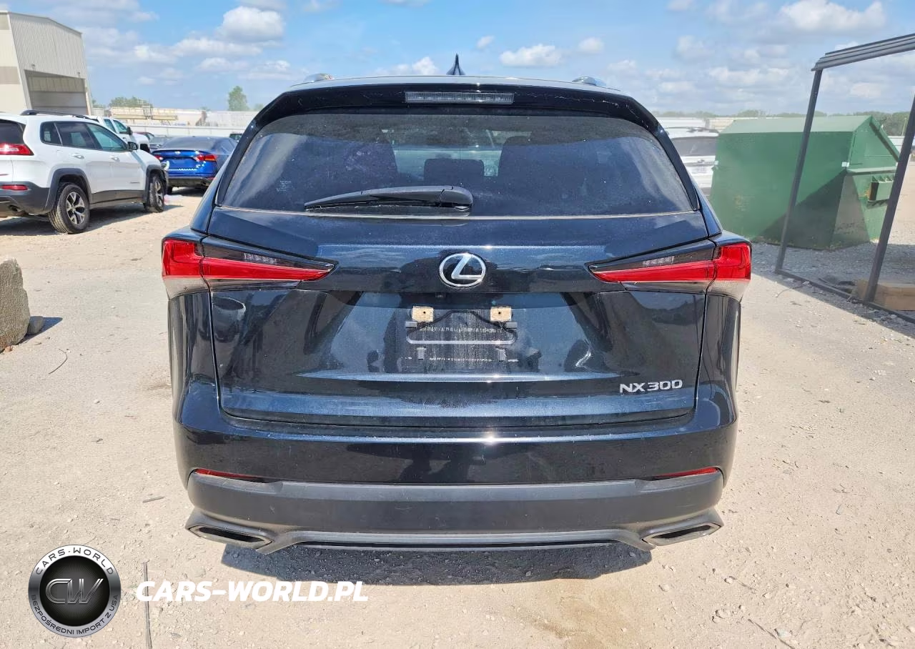 2020 Lexus Nx 300 Base VIN:JTJAARBZ8L5016744 - 6