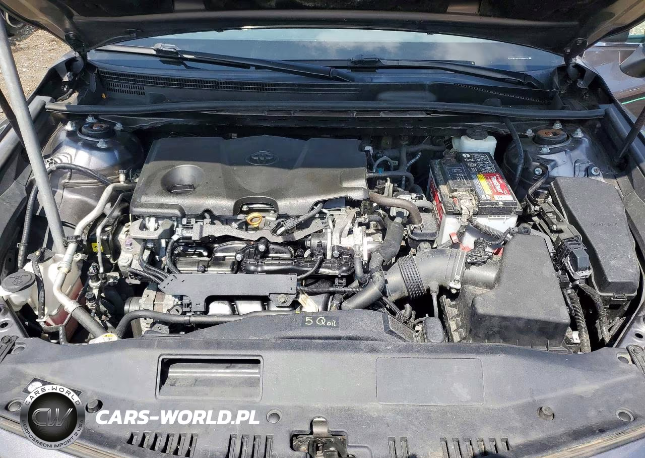 2019 Toyota Camry Se VIN:4T1B11HK4KU699870 - 11