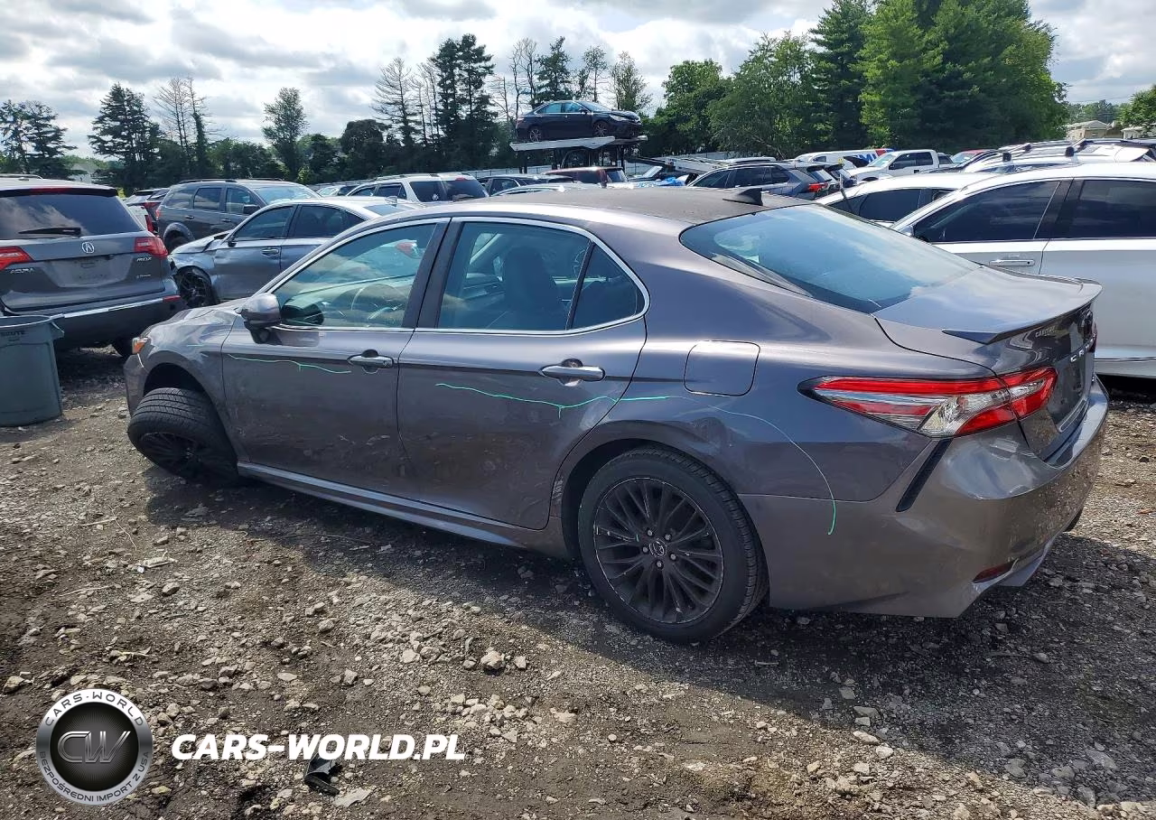 2019 Toyota Camry Se VIN:4T1B11HK4KU699870 - 2