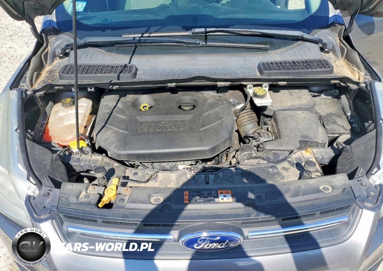 2014 Ford Escape Se VIN:1FMCU9G94EUC14575 - 12