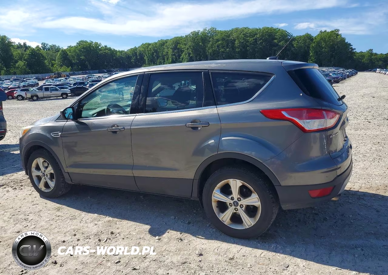 2014 Ford Escape Se VIN:1FMCU9G94EUC14575 - 2