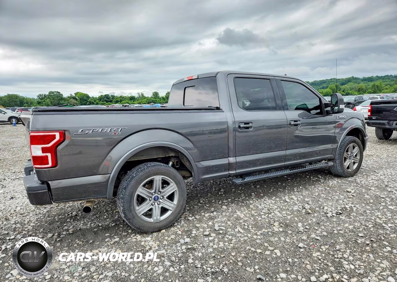 2019 Ford F150 Supercrew VIN:1FTFW1E43KKD63734 - 3