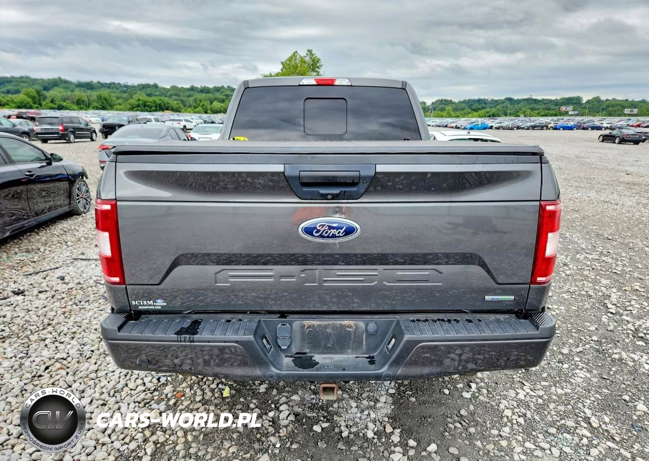 2019 Ford F150 Supercrew VIN:1FTFW1E43KKD63734 - 6