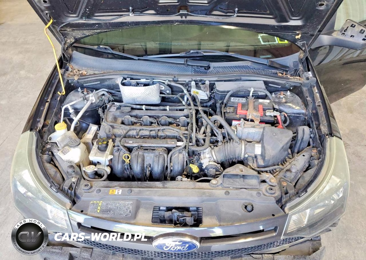 2010 Ford Focus Ses VIN:1FAHP3GN9AW272326 - 11