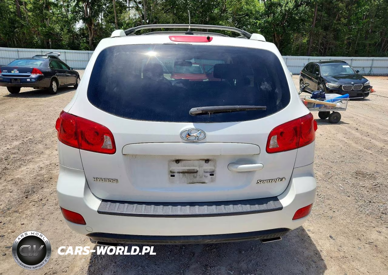 2007 Hyundai Santa Fe Se VIN:5NMSH13E17H042685 - 6