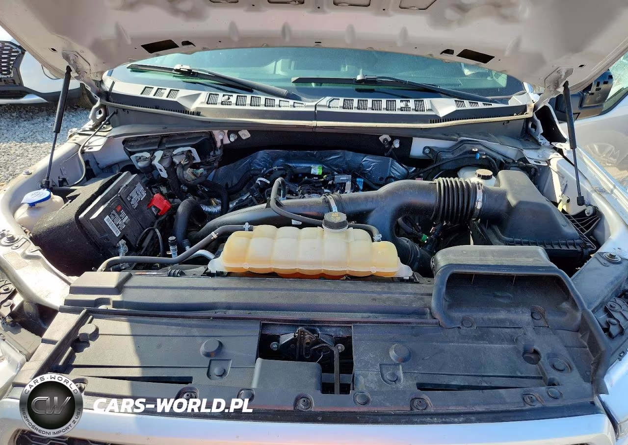 2019 Ford F150 Supercrew VIN:1FTEW1EP8KFD51657 - 11