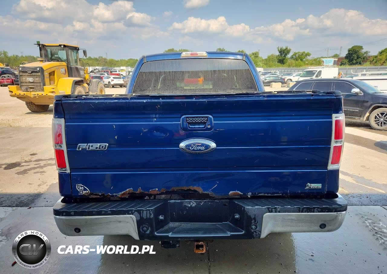 2010 Ford F150 Supercrew VIN:1FTFW1EV0AFC71528 - 6