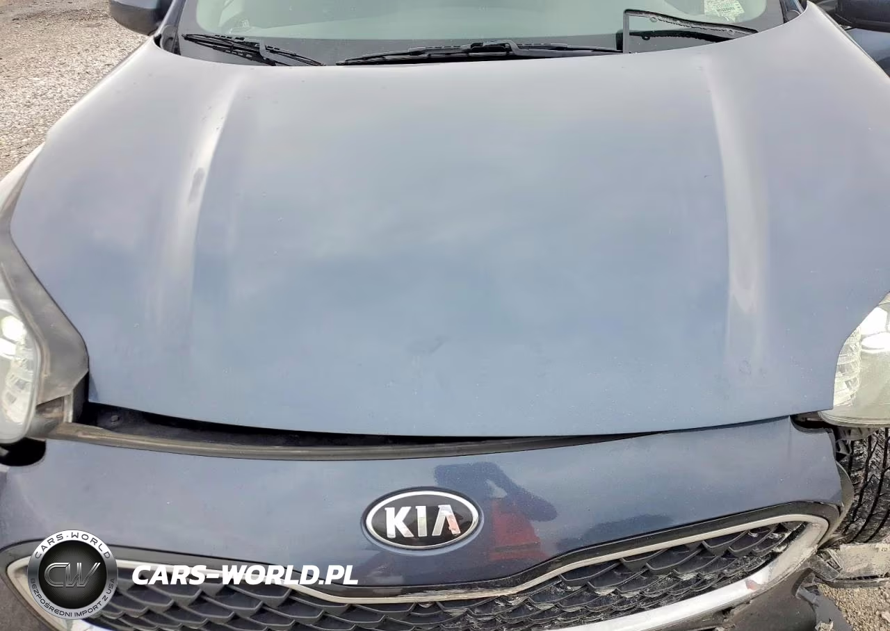 2021 Kia Sportage Lx VIN:KNDPM3AC5M7865525 - 12