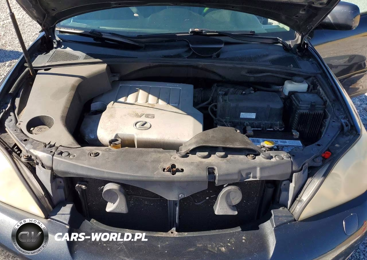 2007 Lexus Rx 350 VIN:2T2HK31U07C009888 - 12