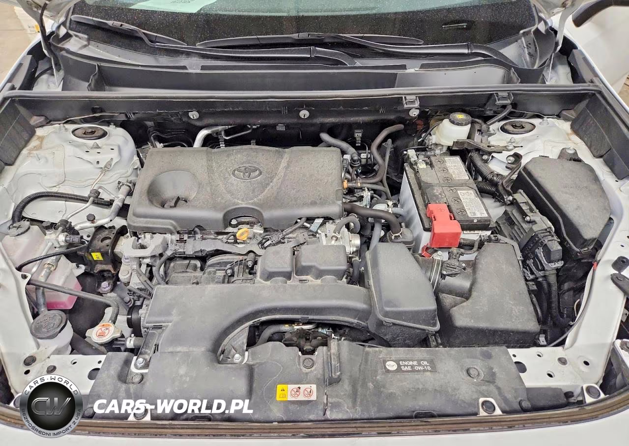 2024 Toyota Rav4 Xle VIN:2T3P1RFV5RC426912 - 12