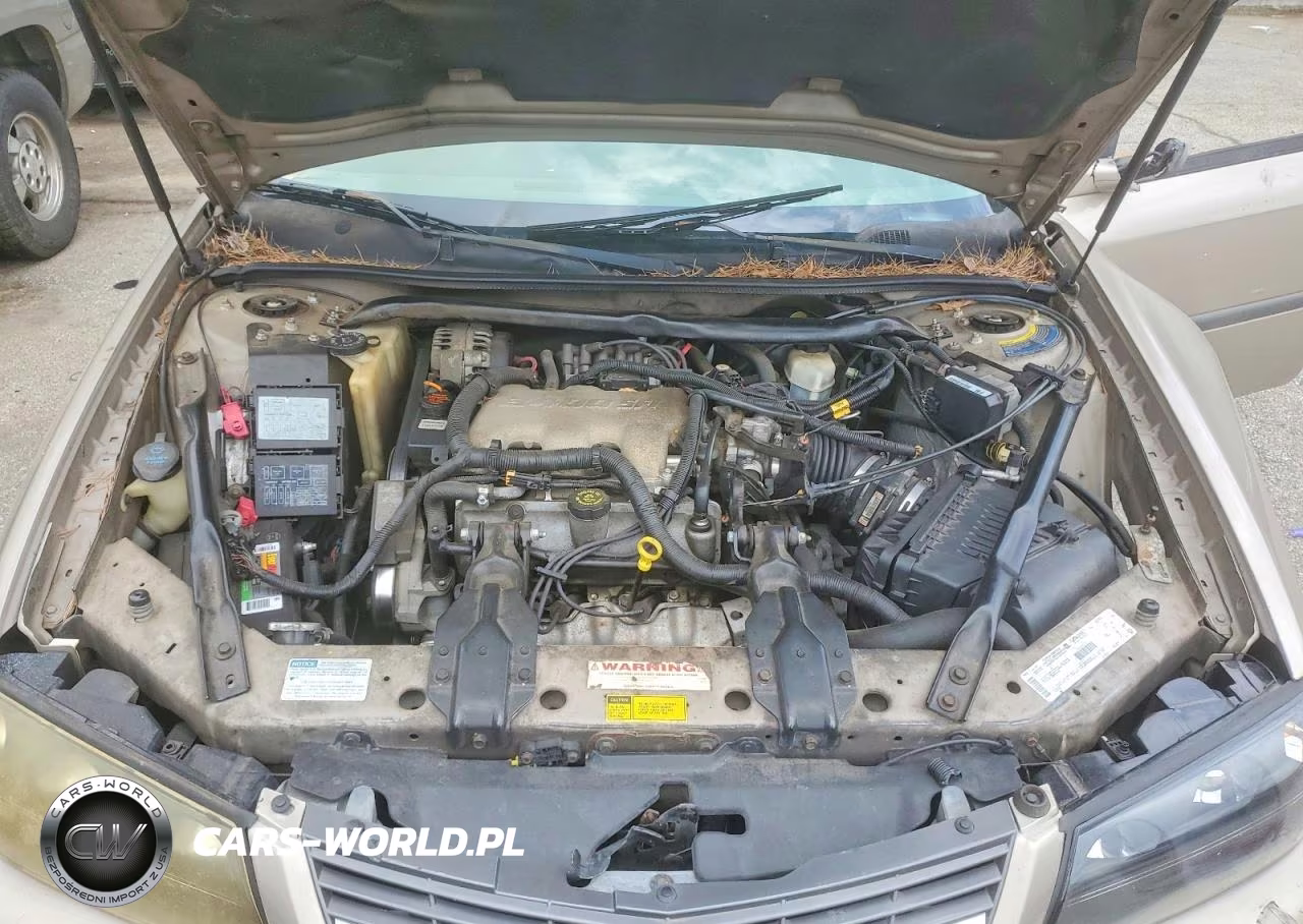 2001 Chevrolet Impala VIN:2G1WF52E119283443 - 11