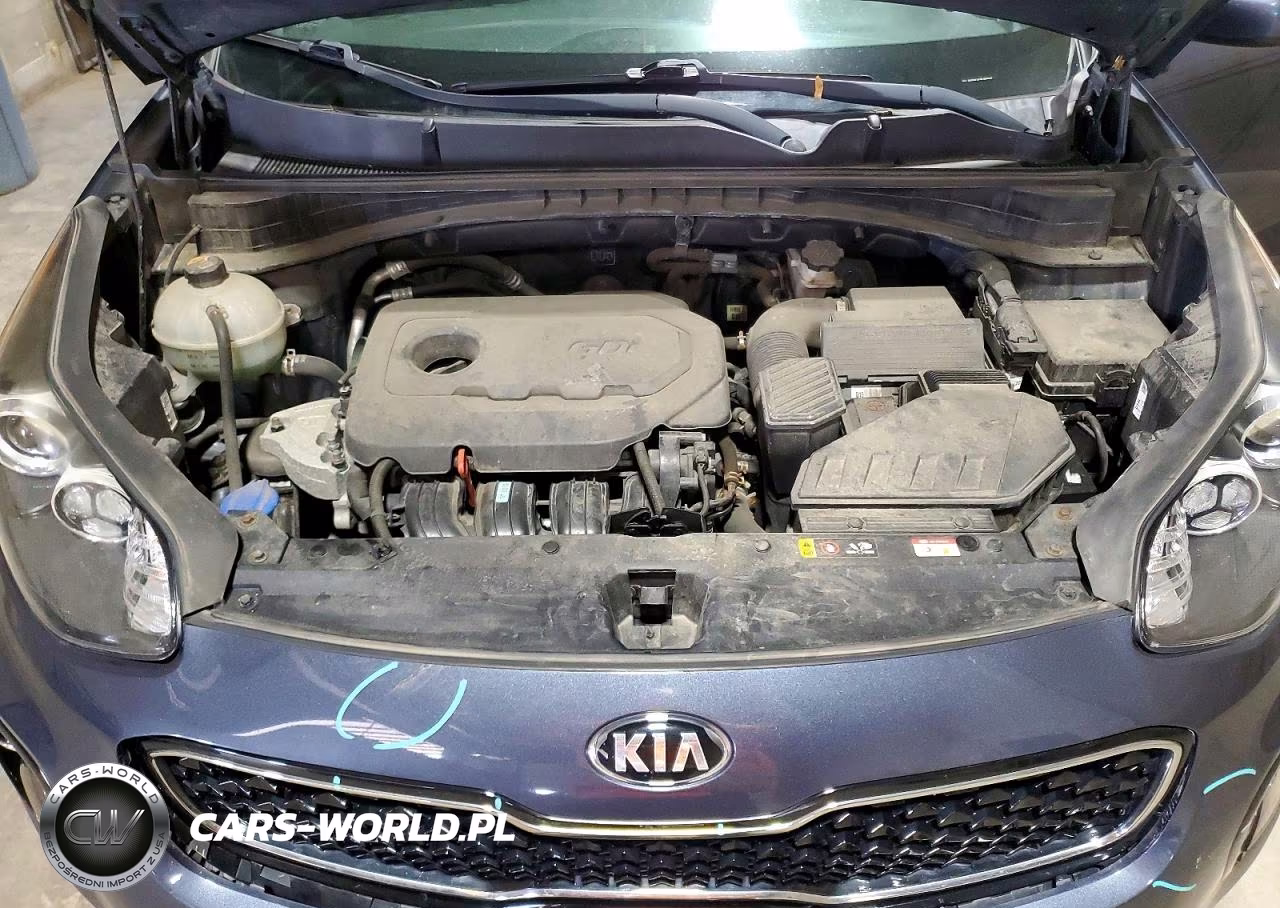2019 Kia Sportage Lx VIN:KNDPMCAC9K7603147 - 12