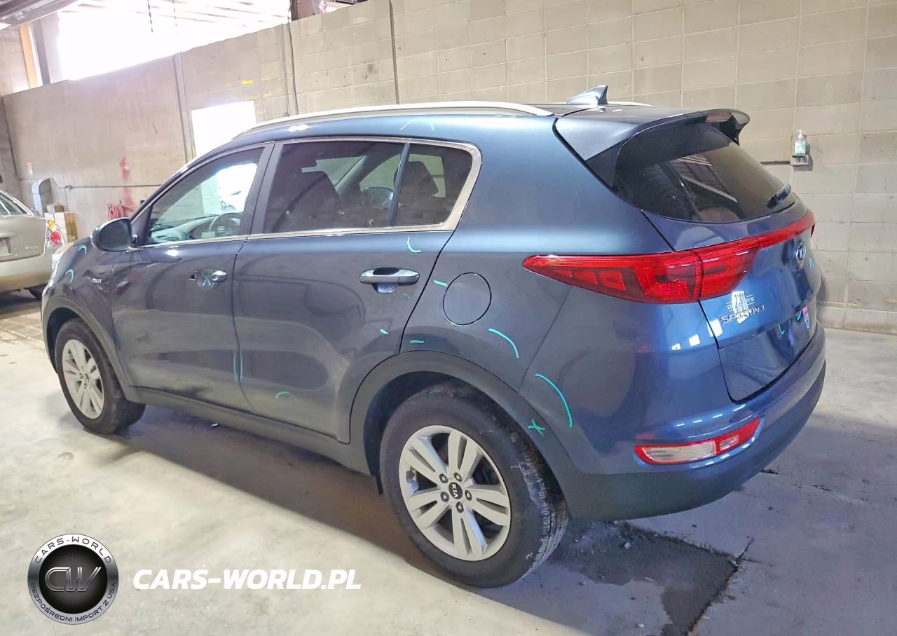 2019 Kia Sportage Lx VIN:KNDPMCAC9K7603147 - 2