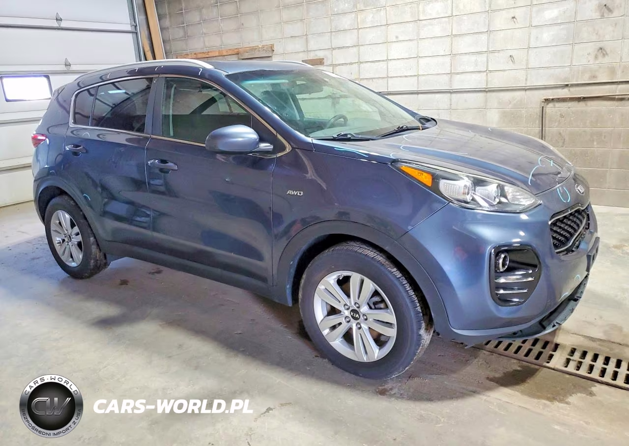 2019 Kia Sportage Lx VIN:KNDPMCAC9K7603147 - 4