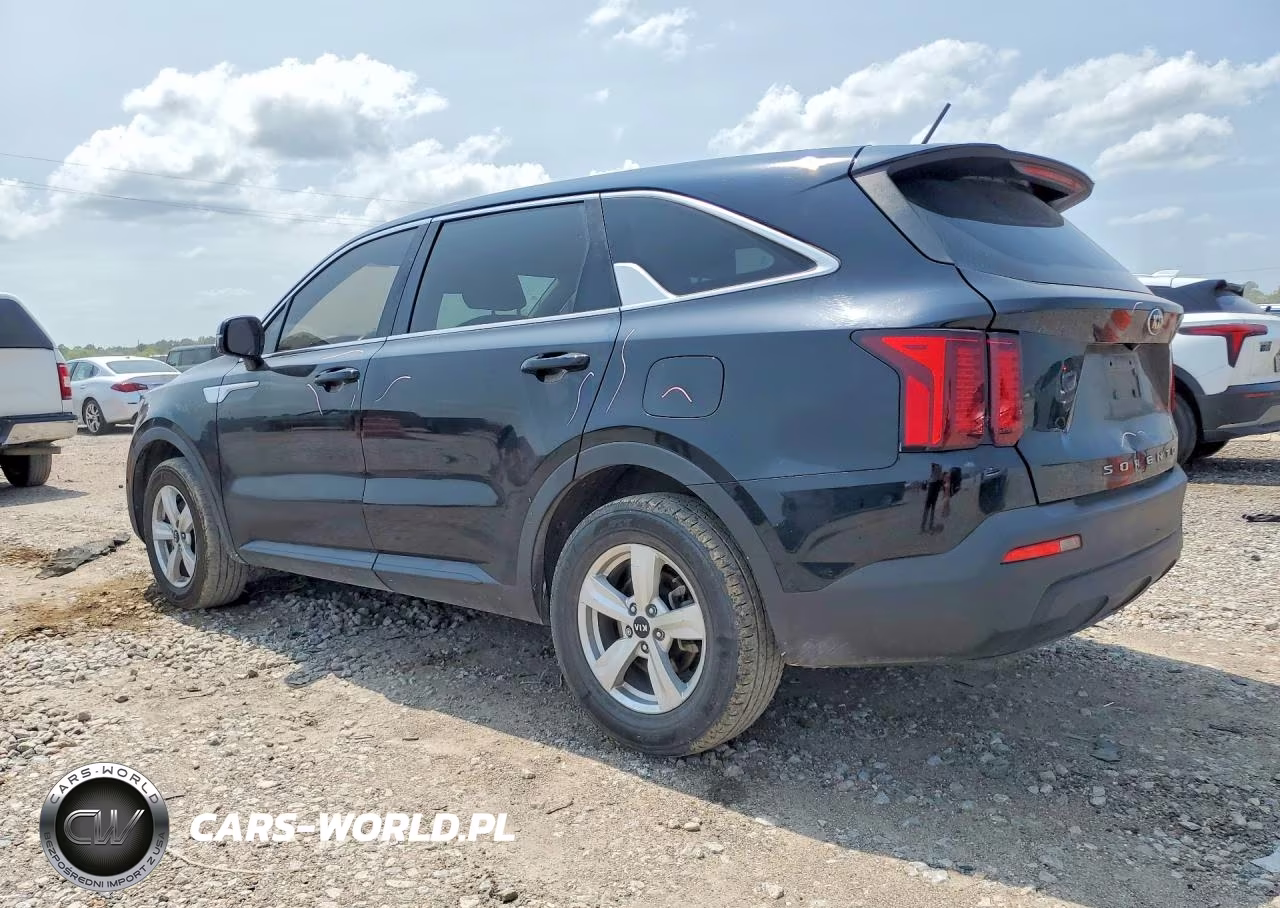 2021 Kia Sorento Lx VIN:5XYRG4LCXMG029571 - 2