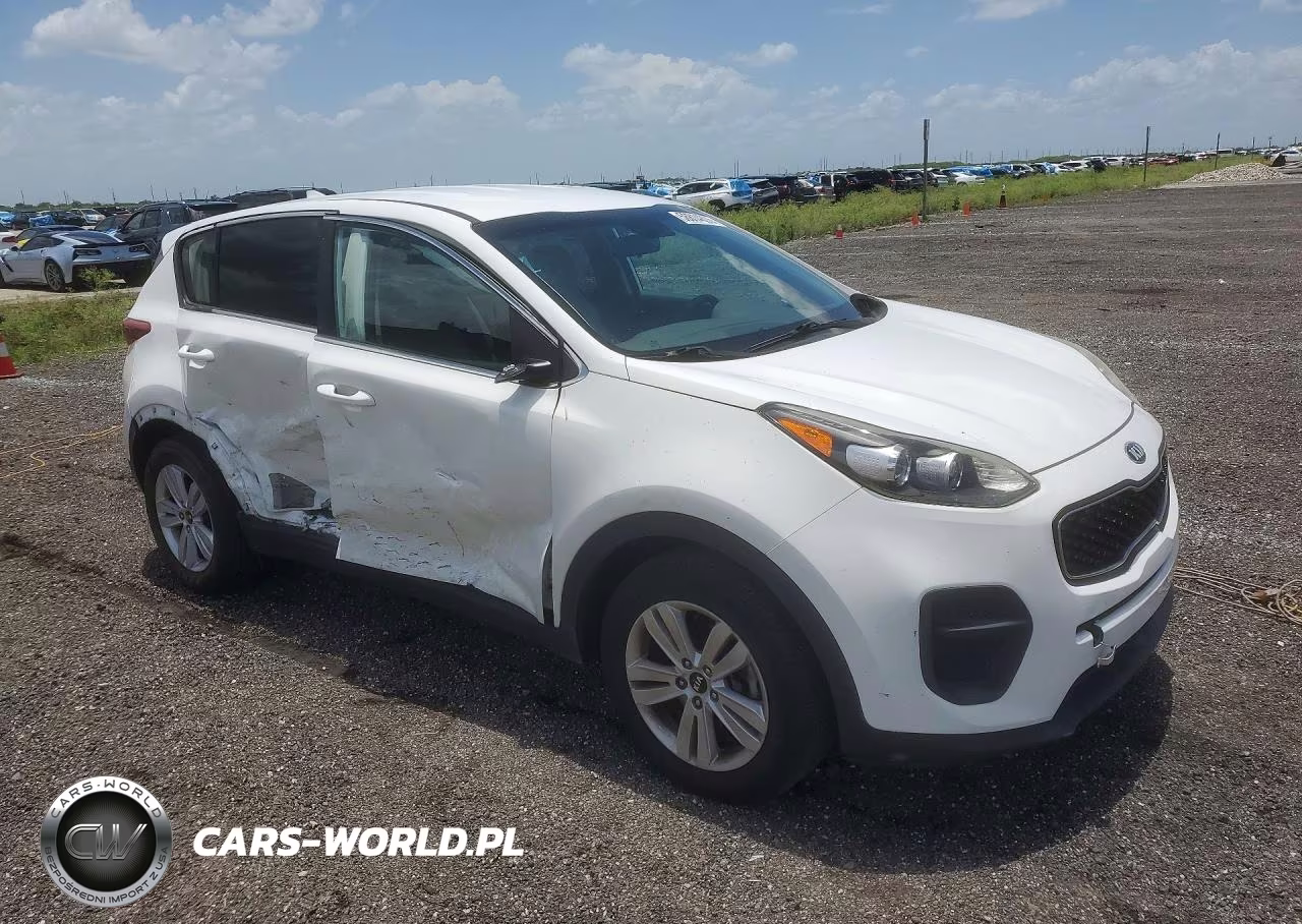 2017 Kia Sportage Lx VIN:KNDPM3AC4H7184679 - 4