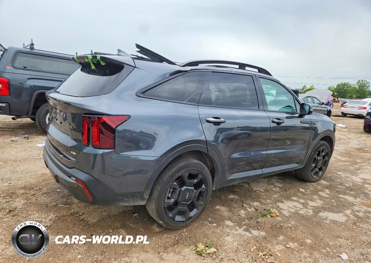 2024 Kia Sorento X-Line Ex VIN:5XYRHDJF2RG272860 - 3