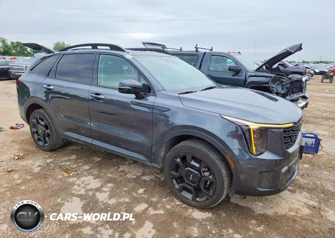 2024 Kia Sorento X-Line Ex VIN:5XYRHDJF2RG272860 - 4