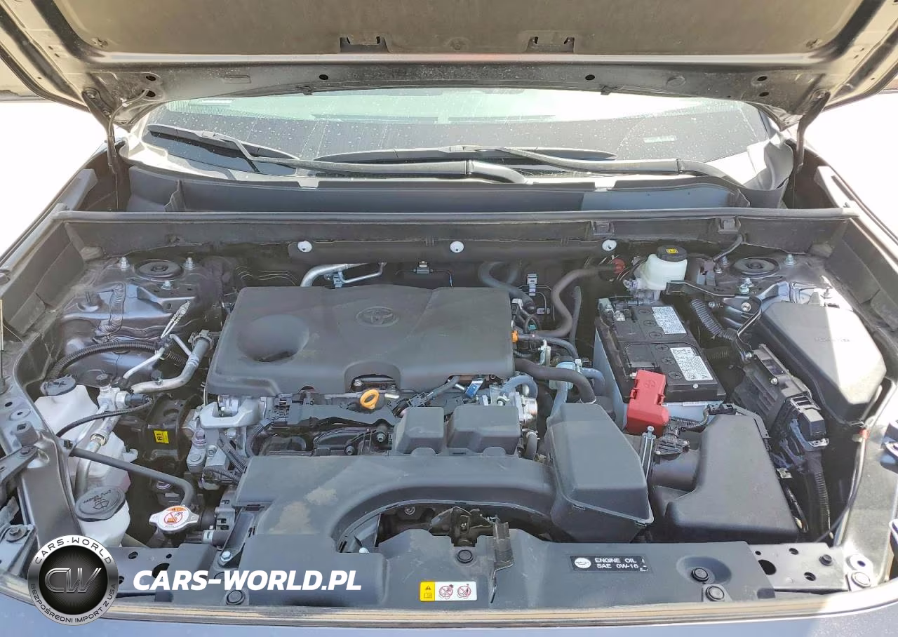 2024 Toyota Rav4 Xle VIN:2T3P1RFV2RC425507 - 11