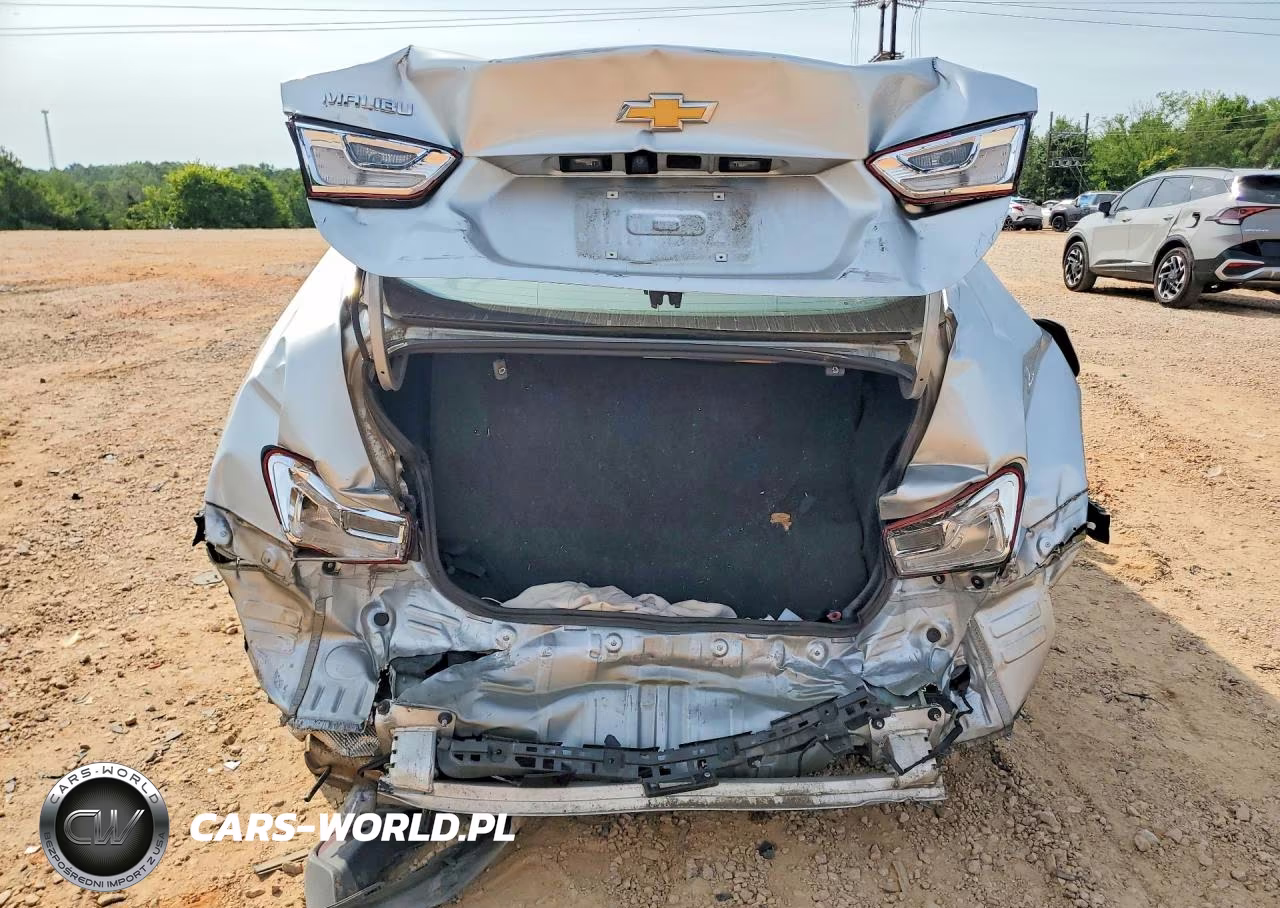 2019 Chevrolet Malibu Ls VIN:1G1ZC5ST8KF170148 - 6