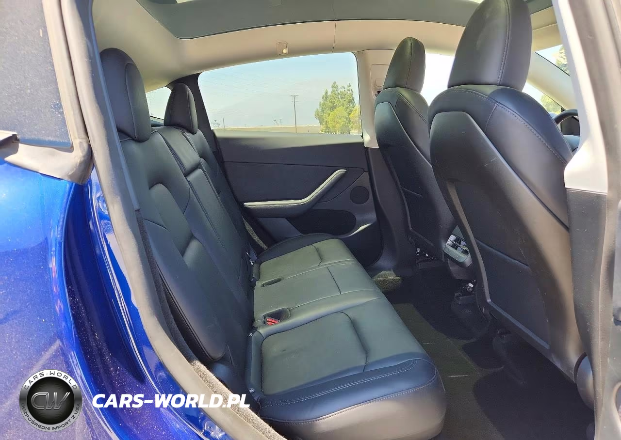 2024 Tesla Model Y VIN:7SAYGDEE1RF131241 - 10
