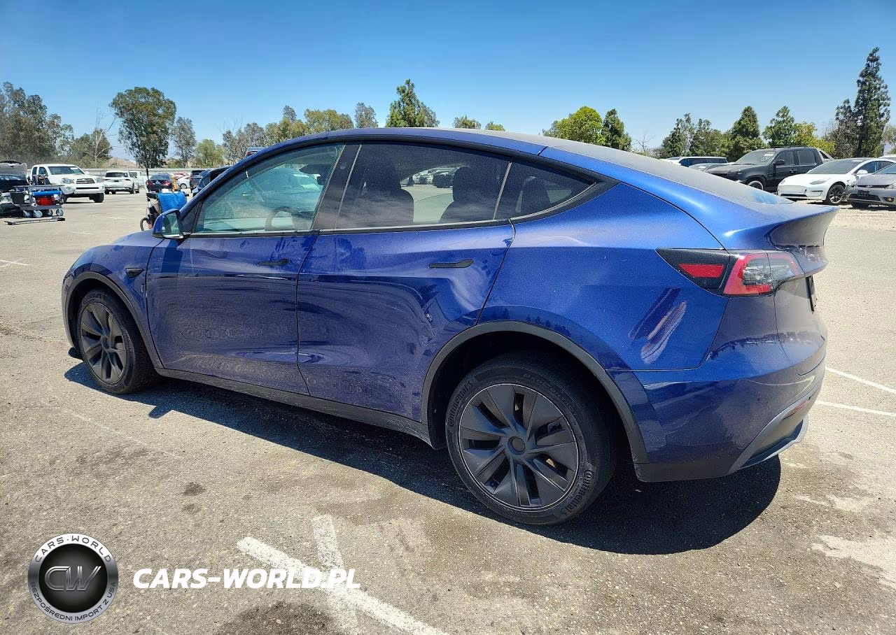2024 Tesla Model Y VIN:7SAYGDEE1RF131241 - 2
