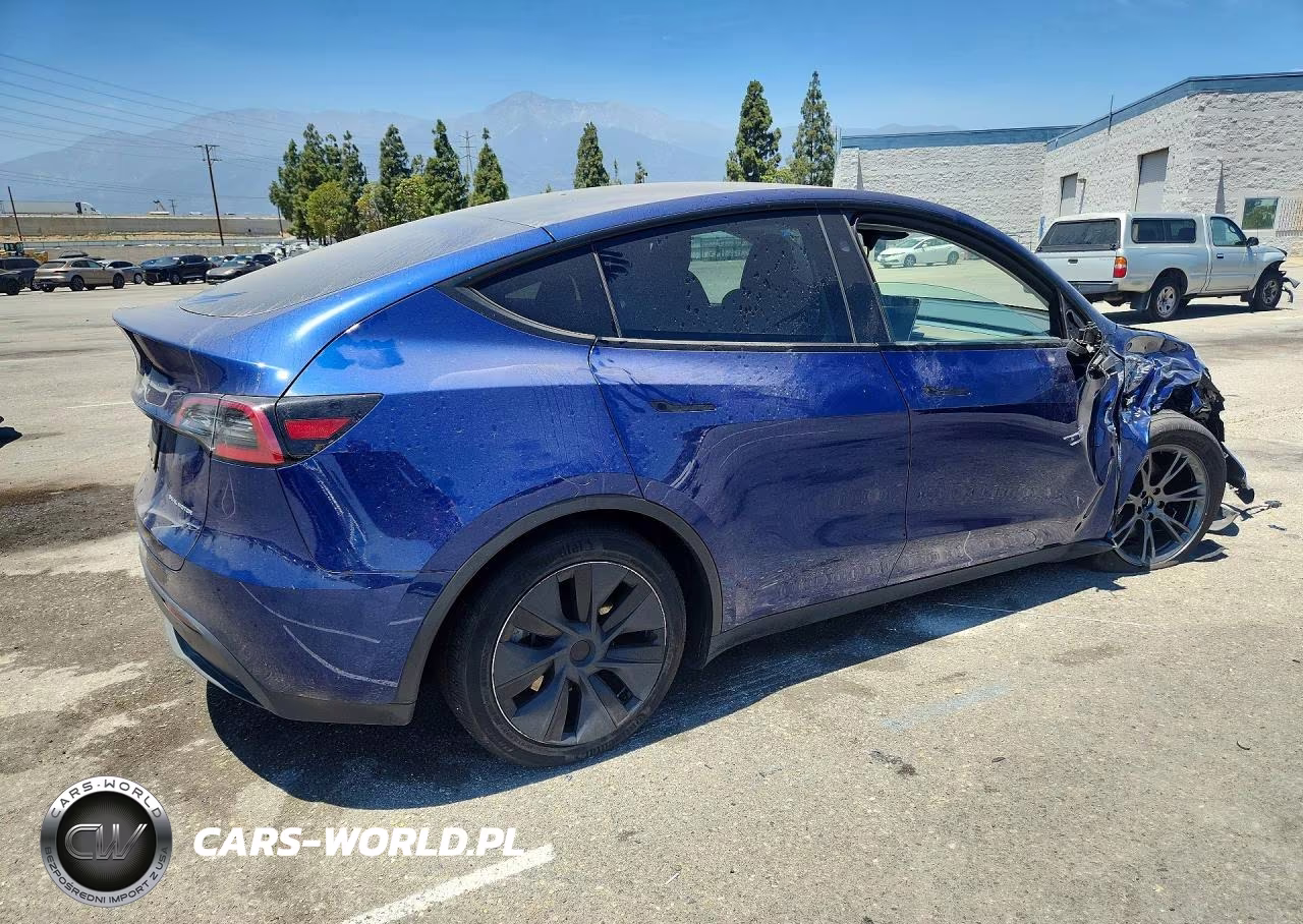 2024 Tesla Model Y VIN:7SAYGDEE1RF131241 - 3